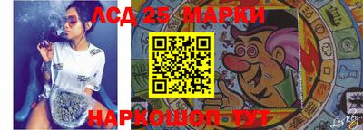 гидра Кандалакша
