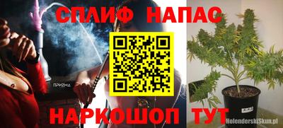 гидра Кандалакша