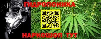 mdma Камышлов